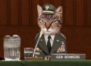 General Kitty