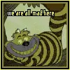 cheshire cat