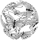 butterflies