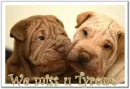 we miss u Tyrone