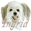 ingrid