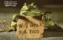 change frog