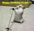 Happy Brithday