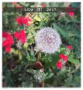blow me away