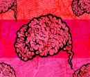 brains