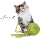 love it cat