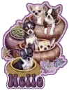 Hello~Dogs