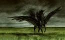 Black Pegasus