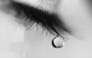 tear