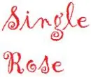 Single rose