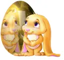 bunny