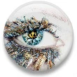 Blue, Gold, and Silver eye