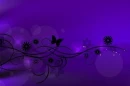 purple dream