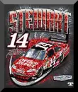 tony stewart