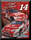 tony stewart