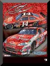tony stewart
