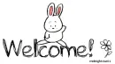 Bunny Welcome