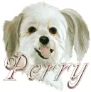 perry