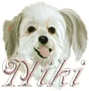 niki