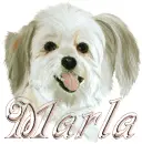 marla