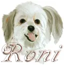 roni