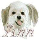 ann