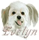 evelyn