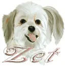 zet