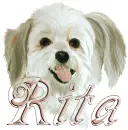 rita