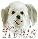 kenia