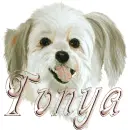 tonya