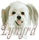 lynyrd