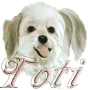 toti