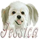jessica