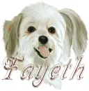 fayeth