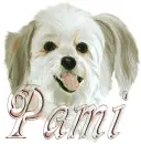 pami