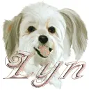 lyn