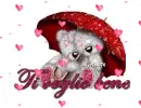 love bears