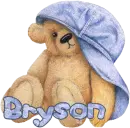 Teddy Hat Rest, Bryson