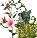 hummingbirds