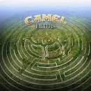 camel