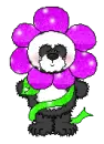 Flower Panda