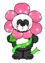 Flower Panda