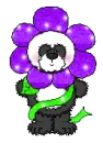 Flower Panda