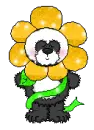 Flower Panda