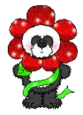 Flower Panda