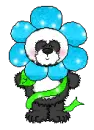 Flower Panda