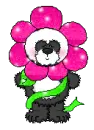 Flower Panda