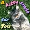 cat for you