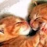 awwww